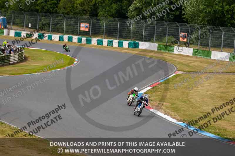 Vintage motorcycle club;eventdigitalimages;mallory park;mallory park trackday photographs;no limits trackdays;peter wileman photography;trackday digital images;trackday photos;vmcc festival 1000 bikes photographs